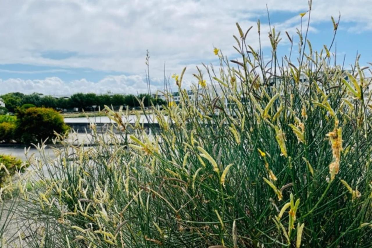 Charming With View * La Rochelle (Charente-Maritime)